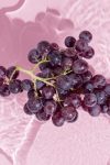 10 Resveratrol Health Benefits_ What to Know About This Antioxidant