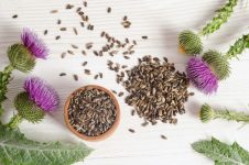 Seeds of a milk thistle with flowers (Silybum marianum, Scotch Thistle, Marian thistle ) on wooden table