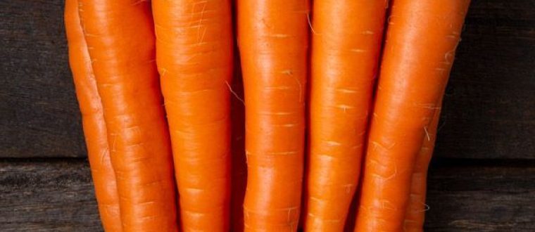 גזר – Carrot, Daucus carota