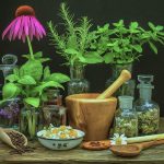 Powerful Herbs for Natural Pain Relief