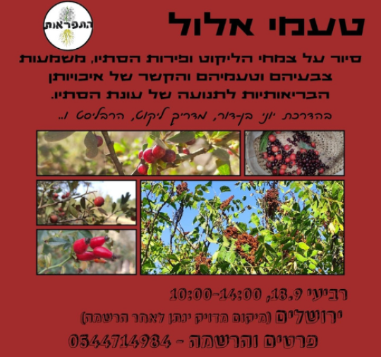 עיצוב ללא שם (56)